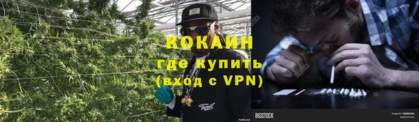 соль ск Абаза