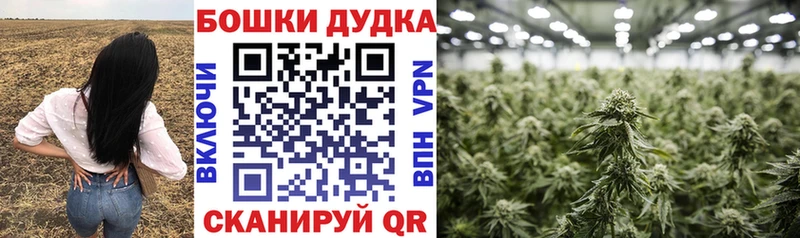 Каннабис OG Kush  Монино 